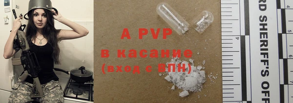 PSILOCYBIN Алагир