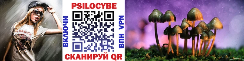 Купить где  Кохма  Галлюциногенные грибы Magic Shrooms 