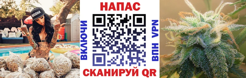 Купить  Кохма  Марихуана семена 
